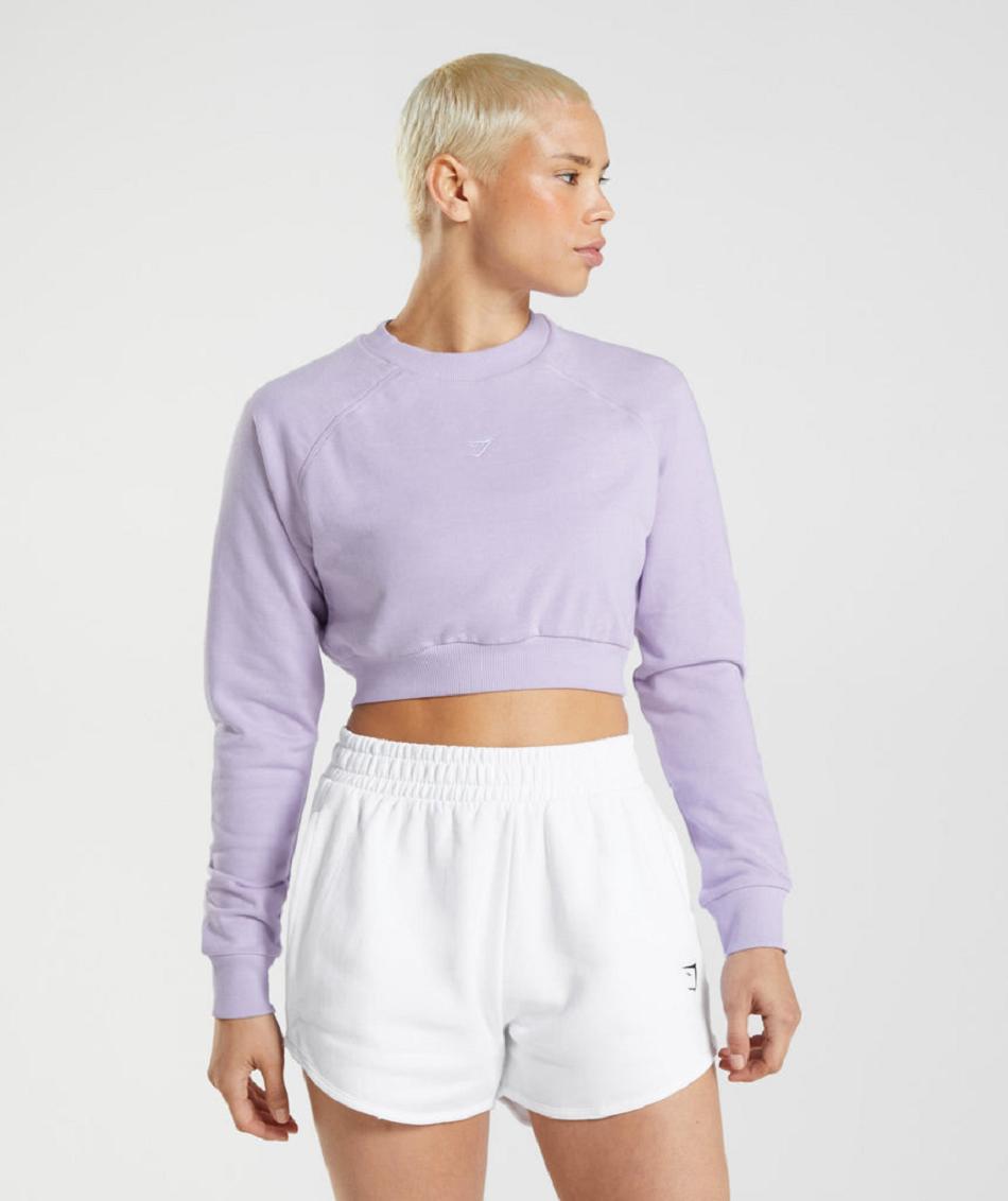 Gymshark Training Cropped Sweater Ženske Accessories Ljubičaste | HR 3776LIS